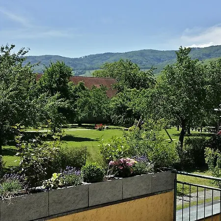 Donauwirt - Hotel garni Weißenkirchen in der Wachau Exterior foto