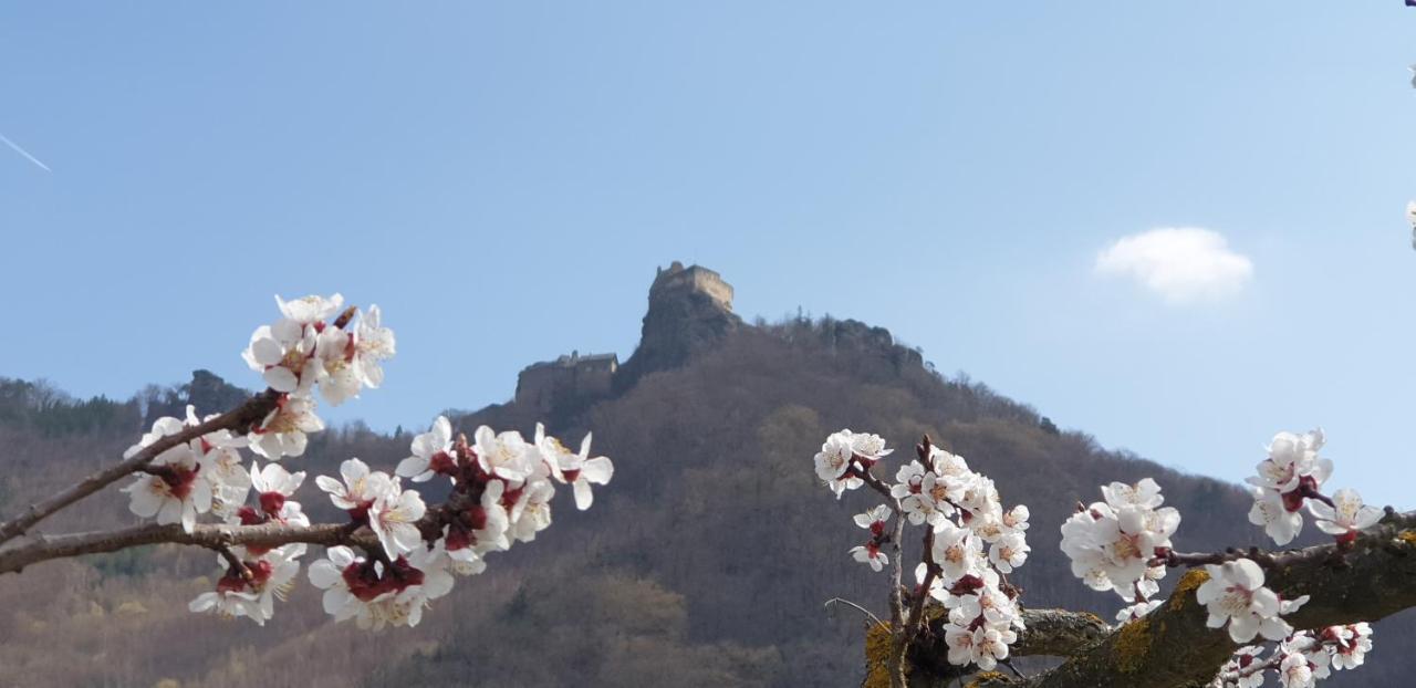 Hotel Donauwirt - Garni