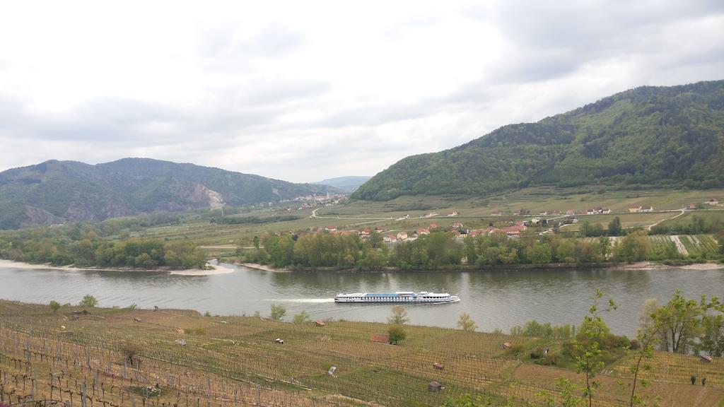 Donauwirt - Garni Weißenkirchen in der Wachau